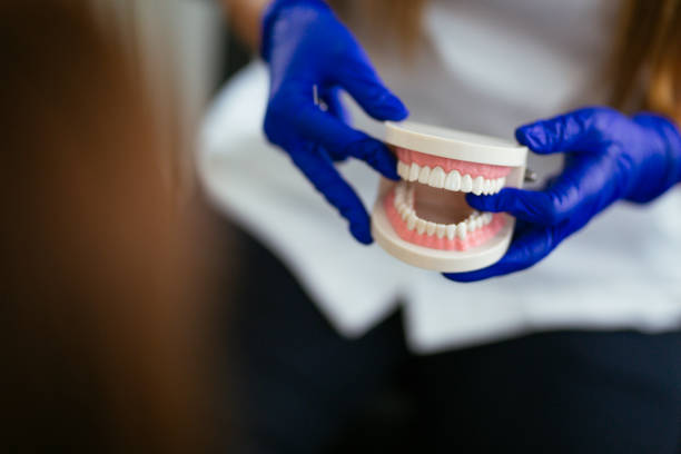Reliable Old Town, ME  Holistic Dental Services Solutions